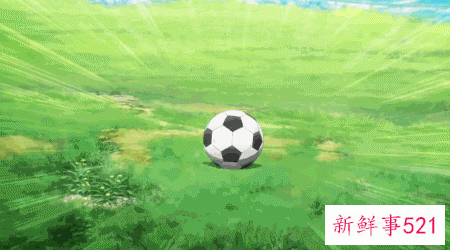 每个日本球员，都有一个美艳的女优太太