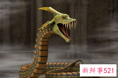 梦见大蛇变龙是什么意思