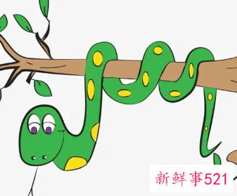梦见绿色的大蛇是什么预兆