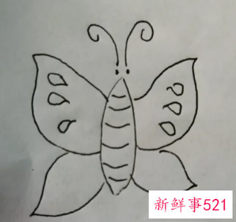 蝴蝶的翅膀花纹怎么画