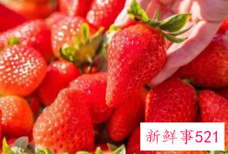 草莓怎么保存到夏天