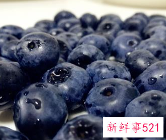 蓝莓的储存与保鲜方法