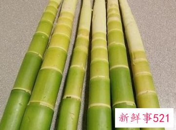新鲜竹笋的吃法