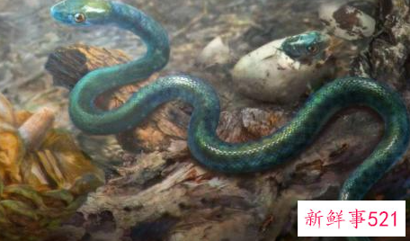 蛇在中国古代象征意义