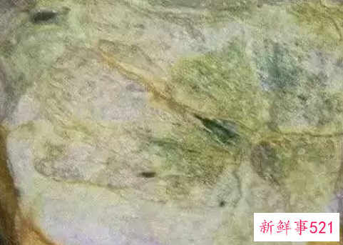 世界上最大的翡翠原石