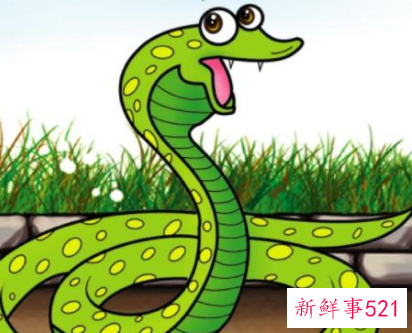 蛇在中国古代象征意义