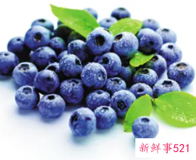 蓝莓葡萄的功效与作用及食用方法