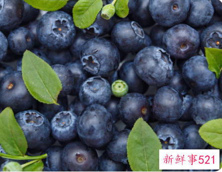 蓝莓葡萄的功效与作用及食用方法