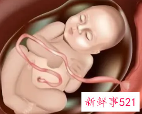 怀孕37周胎儿大小