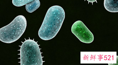 霉菌都是对人体不利的吗