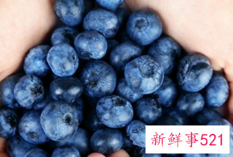 蓝莓的保存方法和吃法