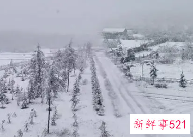 内蒙古多地降雪量已破1951年来极值具体情况