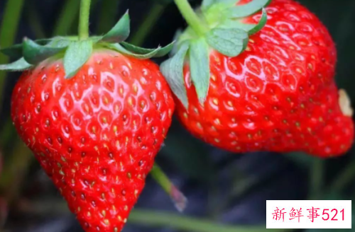 哪种草莓最甜最好吃