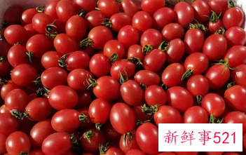 水果小番茄的功效与作用