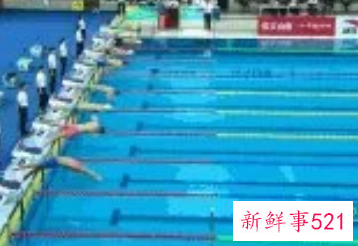 世界冠军游泳比赛视频