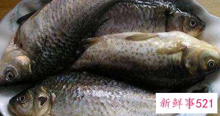 鲤鱼炖豆腐是加开水还是冷水