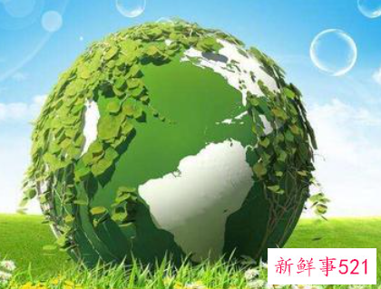开展生态环境保护主题宣传活动