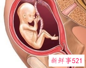 怀孕1一9月胎位变化图片