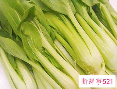 上海青菜是热性还是凉性