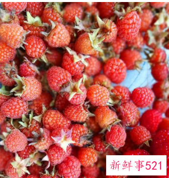 树莓营养价值