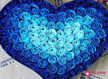 蓝玫瑰花的花语是什么