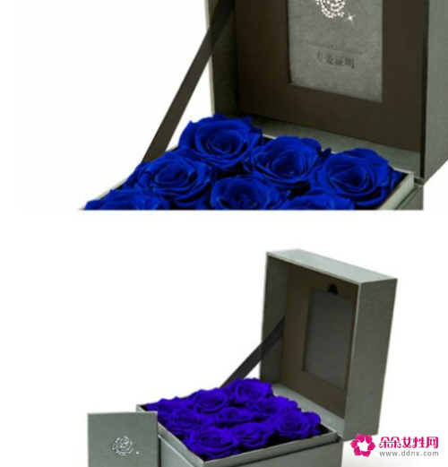 蓝玫瑰花的花语是什么