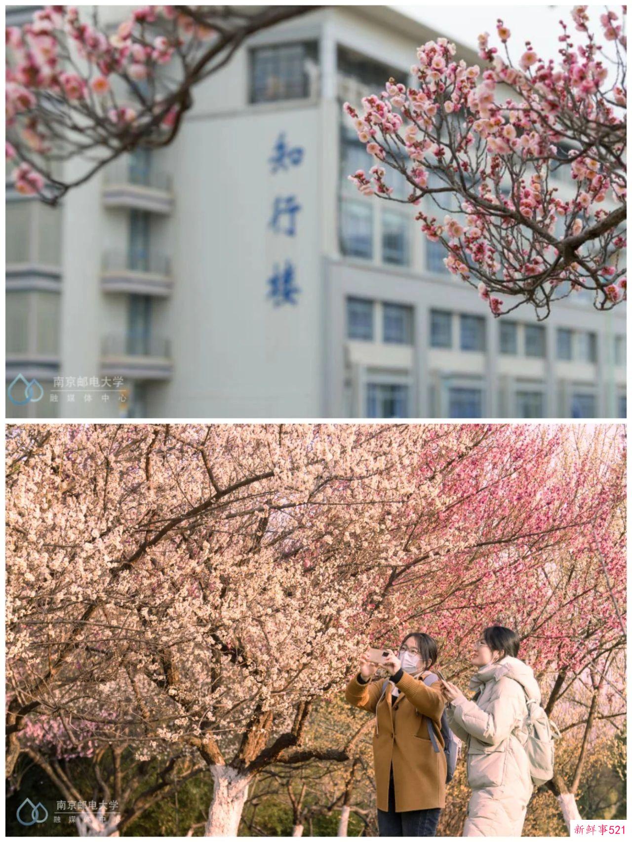 南京高校“校花”图鉴！谁是你心中的“门面担当”？