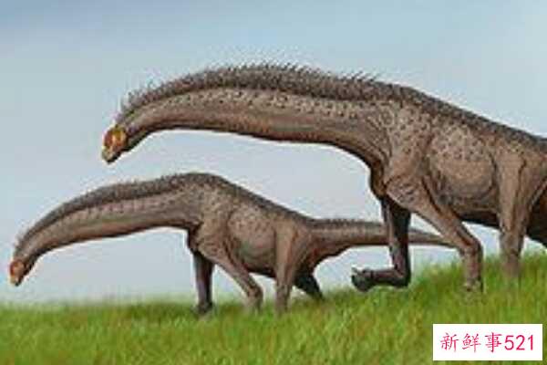 大型食肉恐龙-龙的头部酷似鳄鱼(长达10米)