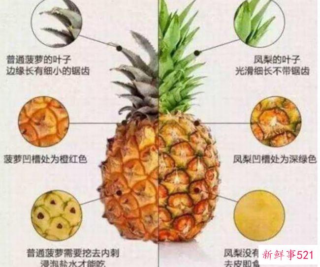 菠萝是菠萝吗？菠萝为什么比菠萝贵很多？