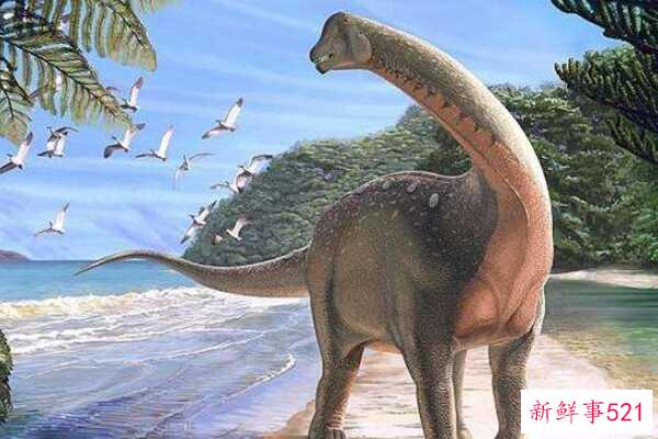 大型食肉恐龙-龙的头部酷似鳄鱼(长达10米)