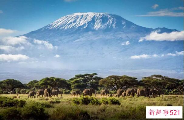 非洲最高的山乞力马扎罗山 高5892米(号称非洲之王)