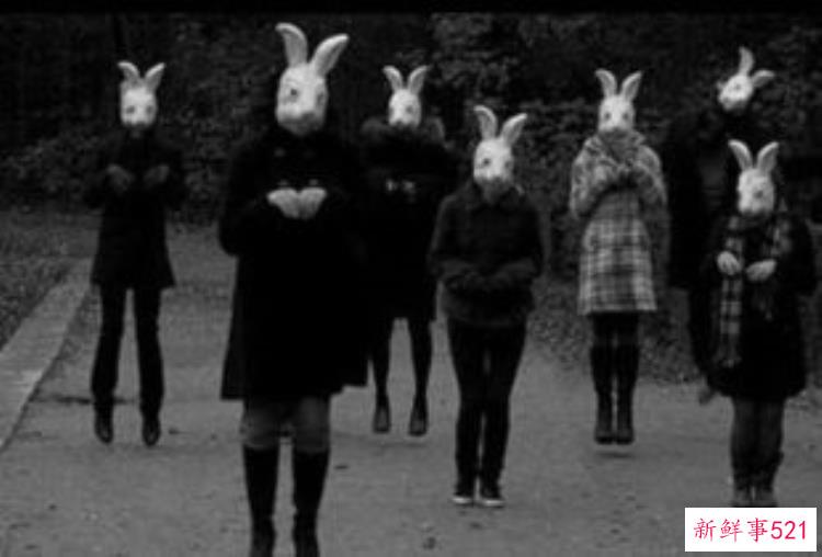 兔人灵异事件，灵异怪事兔子