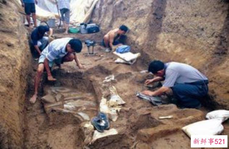考古专业是不是冷门，考古学专业有什么前途