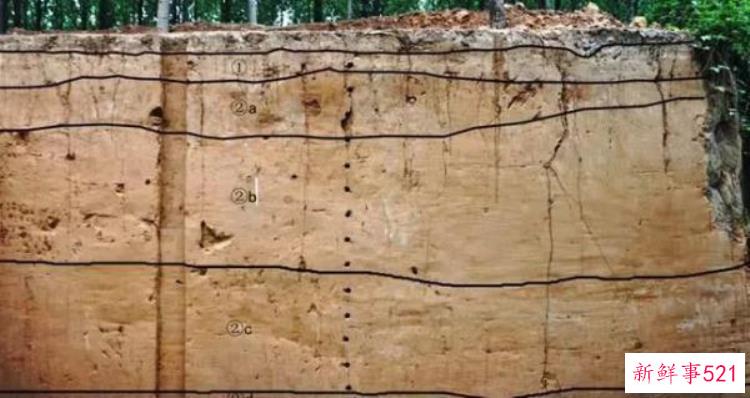 考古研究成果公布揭秘1万年前的郑州现代人，考古史上最尴尬的考古