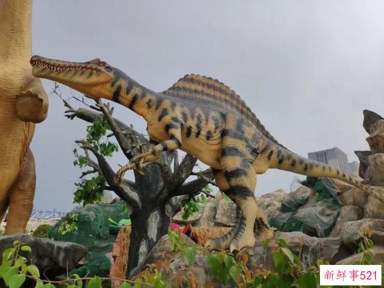 现实版侏罗纪公园来了闽侯南通新开3000考古馆陪娃过暑假
