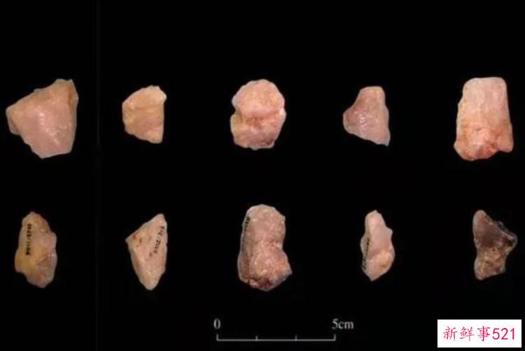 考古研究成果公布揭秘1万年前的郑州现代人，考古史上最尴尬的考古