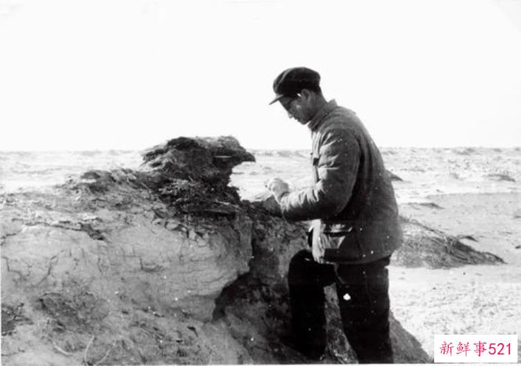 中国学者在楼兰研究上有了发言权读侯灿楼兰考古调查与发掘报告