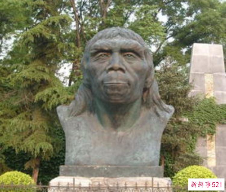 北京猿人的发现有何意义，北京猿人遗址和山顶洞人遗址