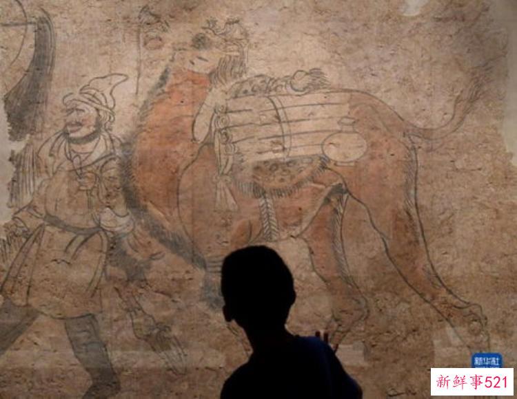 纵览中国百年考古成就作文，中国百年考古的成就