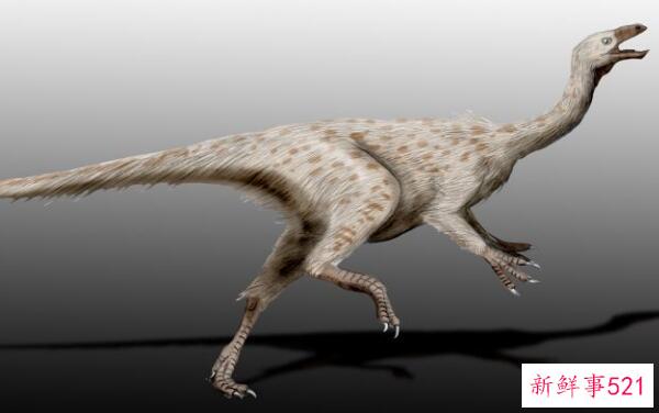 黎明角鼻龙-甘肃小型食草恐龙(1.2米长-1.12亿年前)