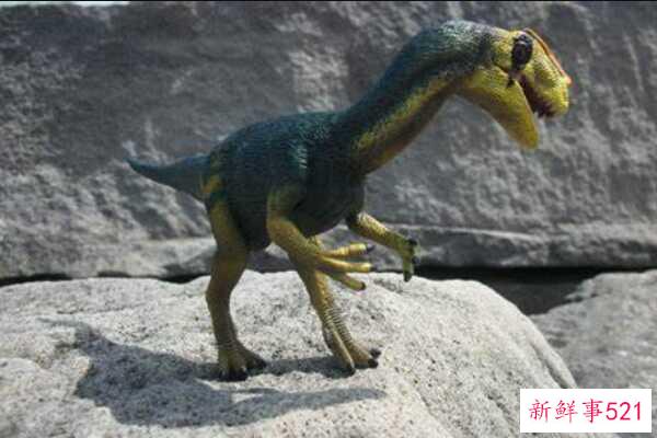 原杆状龙-中国中型恐龙(5米长-阿拉善地区出土)
