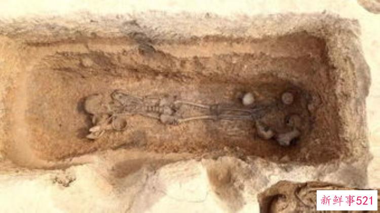 出土石器陶器等器物苏州昆山群星遗址考古发掘项目通过验收