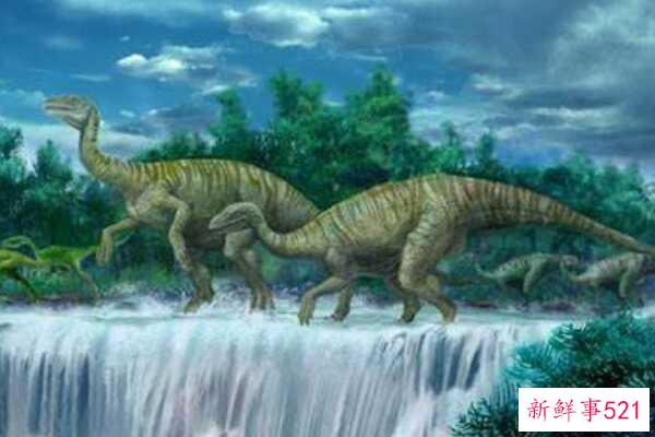 何琳暴龙-内蒙古的一种小型食肉恐龙(只有1.8米长-速度极快)