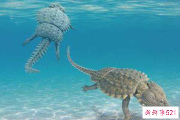 中国斗鱼-龟和蜥蜴的结合体(生活在浅水区-生于三叠纪)