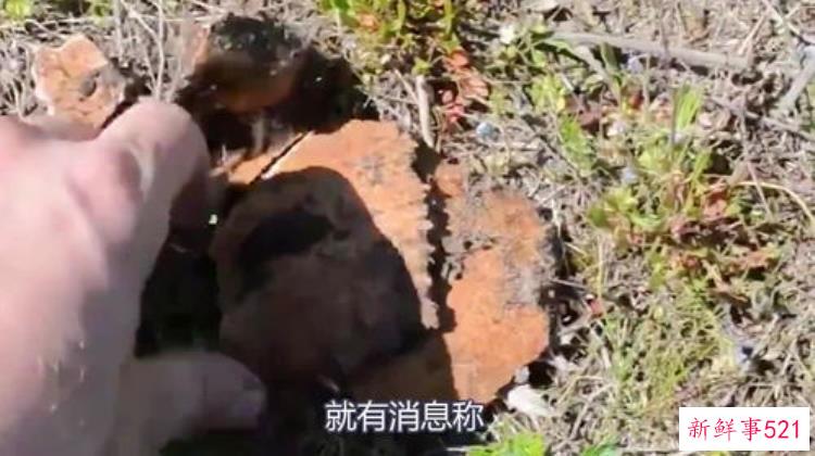 东北锦州农村发现一清代古墓葬品有一件龙袍与一两面人有关系