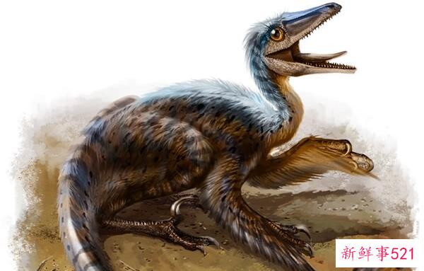 梅龙-辽宁小型食肉恐龙(1米长-与鸟类有关)