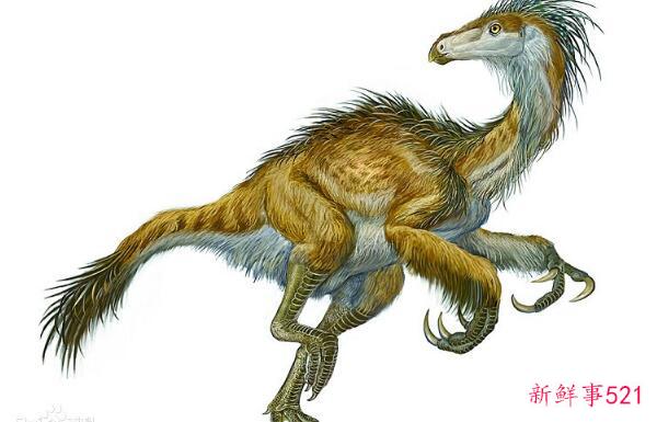 梅龙-辽宁小型食肉恐龙(1米长-与鸟类有关)