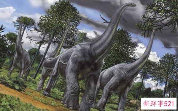 金沙江龙-中国大型食草恐龙(11-13米长-1.75亿年前)