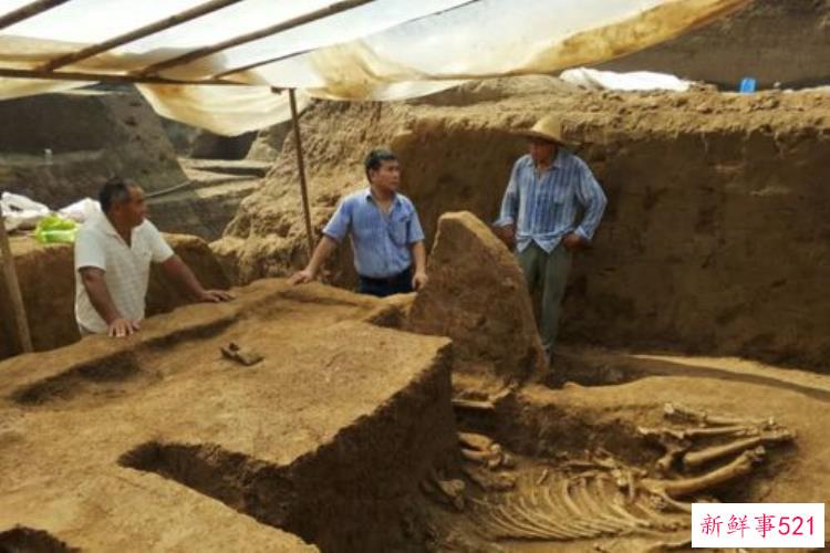 目前所发掘贵州墓葬中规模最大「贵州发现一清代古墓为何引考古所与法医联动揭秘」