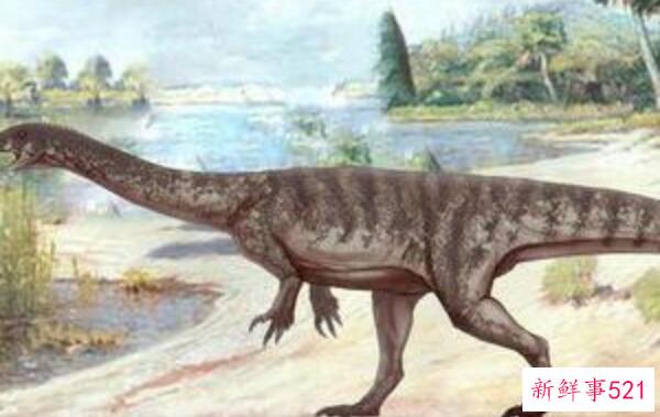 金沙江龙-中国大型食草恐龙(11-13米长-1.75亿年前)